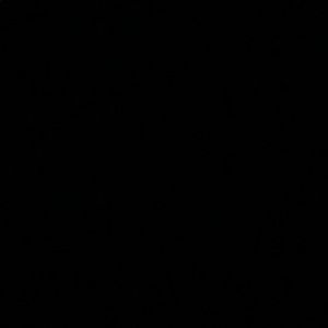 Meet your Posher, Brenna